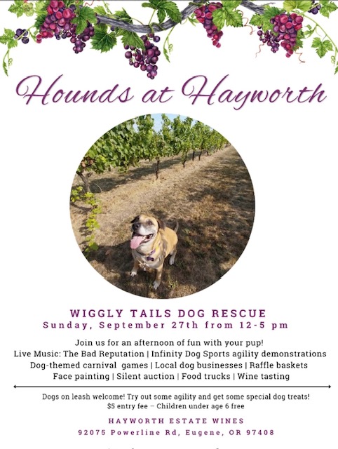 Hounds at Hayworth